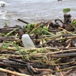 environmental sustainability 2